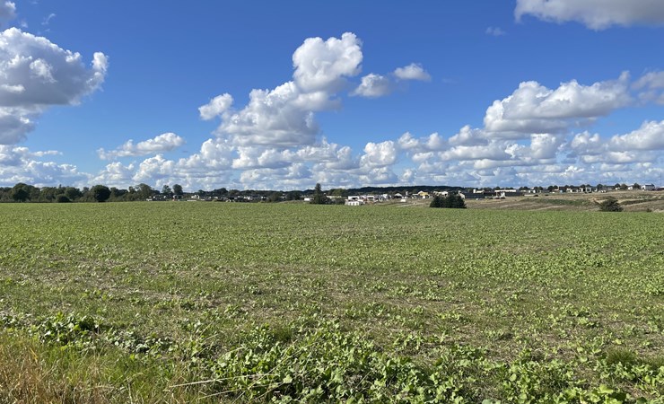 Vi er glade for vækst